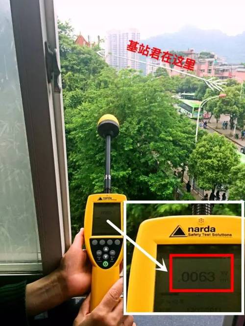 通信天线基站的伪装图片汇总